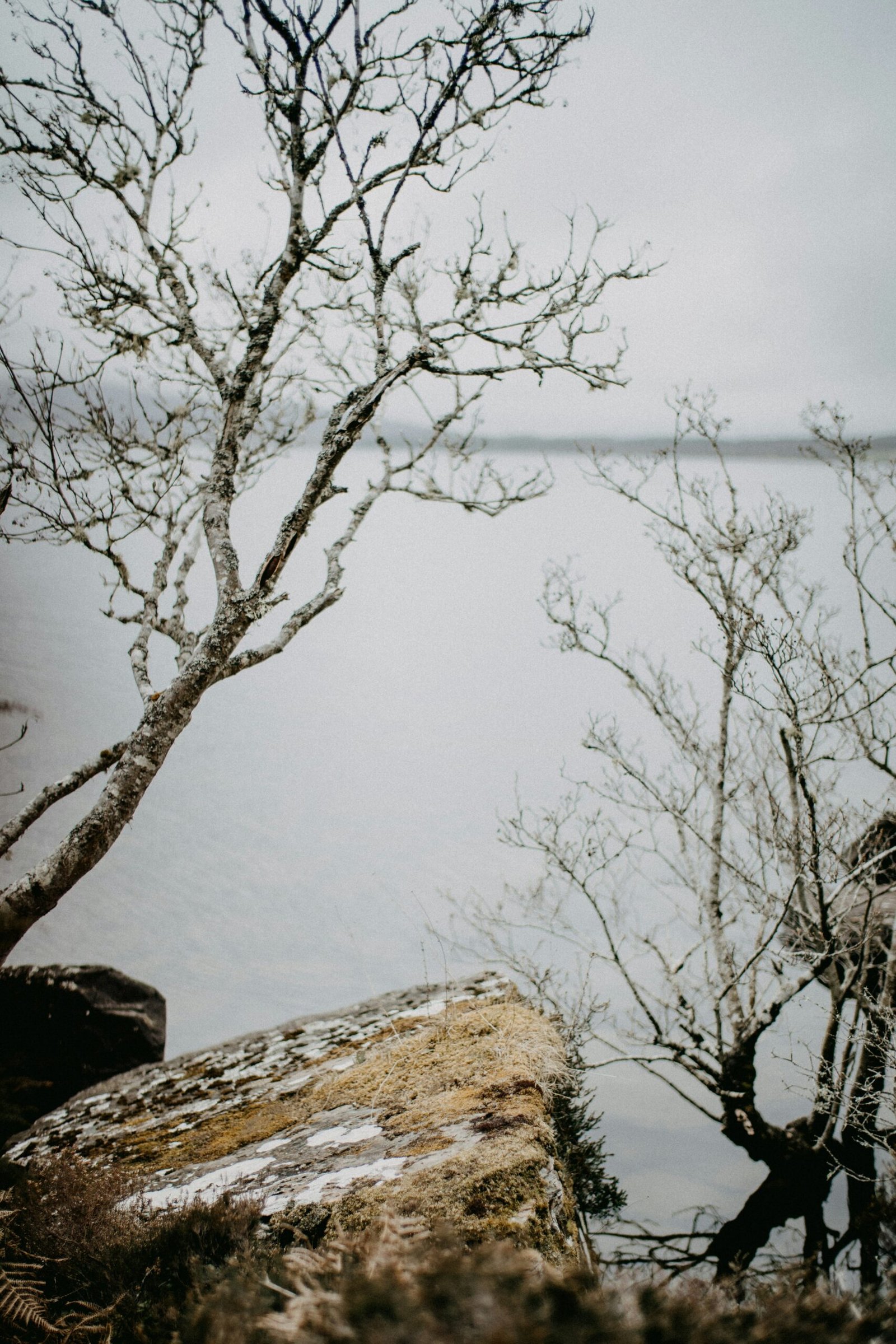 annie spratt gpwpaktvzo4 unsplash